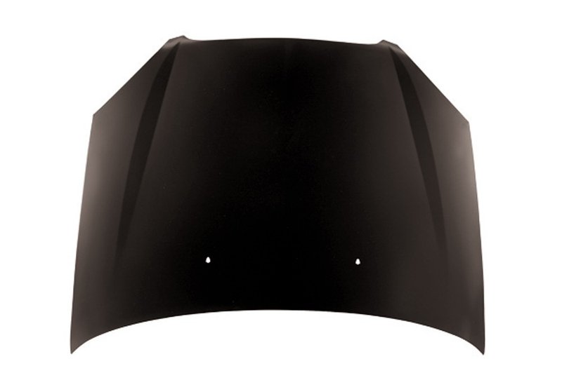 TechPro FO1230189 Hood Panel Assembly