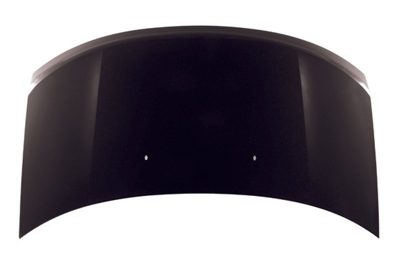 TechPro FO1230262C Hood Panel Assembly