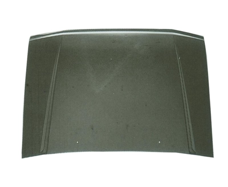 TechPro GM1230271 Hood Panel Assembly