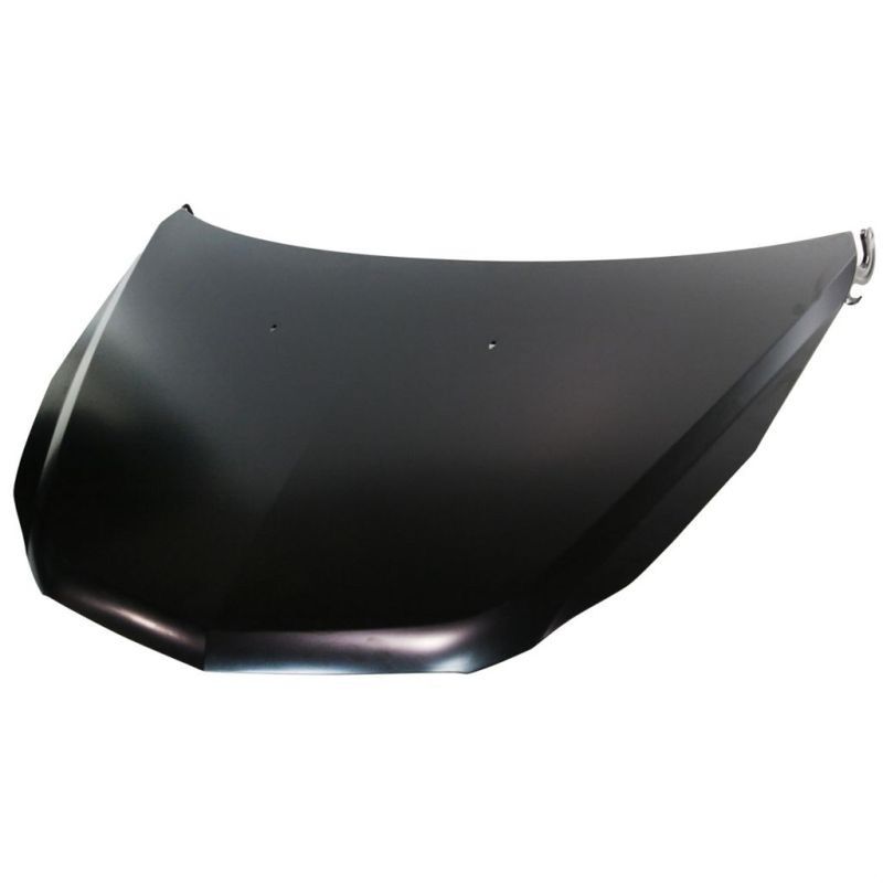 TechPro GM1230389C Hood Panel Assembly