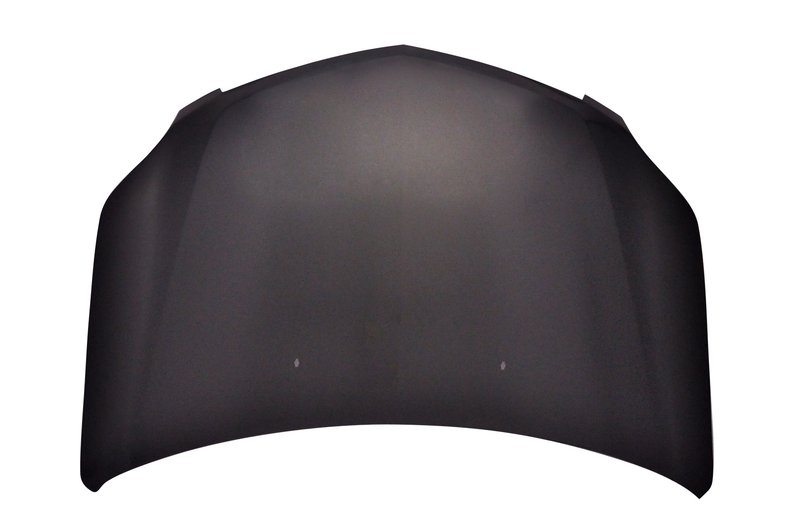 TechPro GM1230393C Hood Panel Assembly