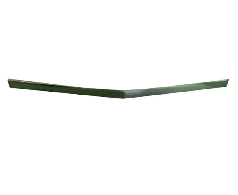 TechPro GM1235117 Hood Molding - Front