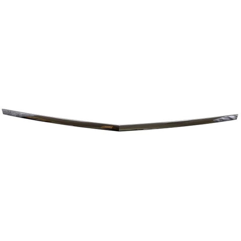 TechPro GM1235135 Hood Molding - Front