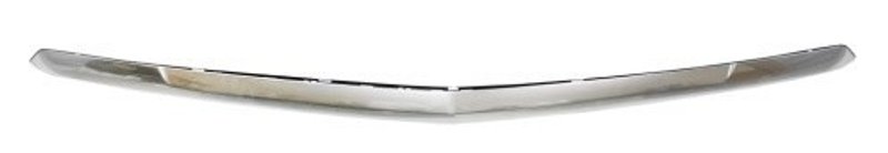 TechPro GM1235138 Hood Molding - Front