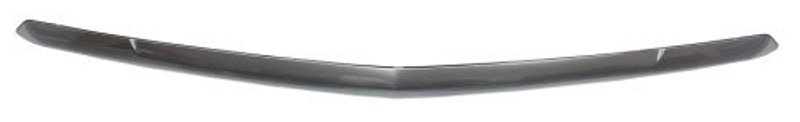 TechPro GM1235139 Hood Molding - Front