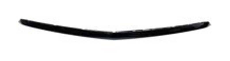 TechPro GM1235140 Hood Molding - Front