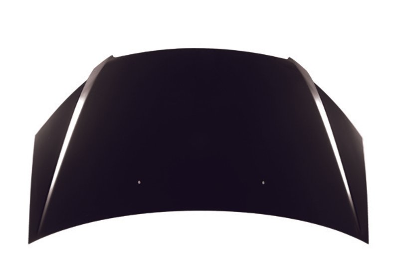 TechPro HO1230146C Hood Panel Assembly