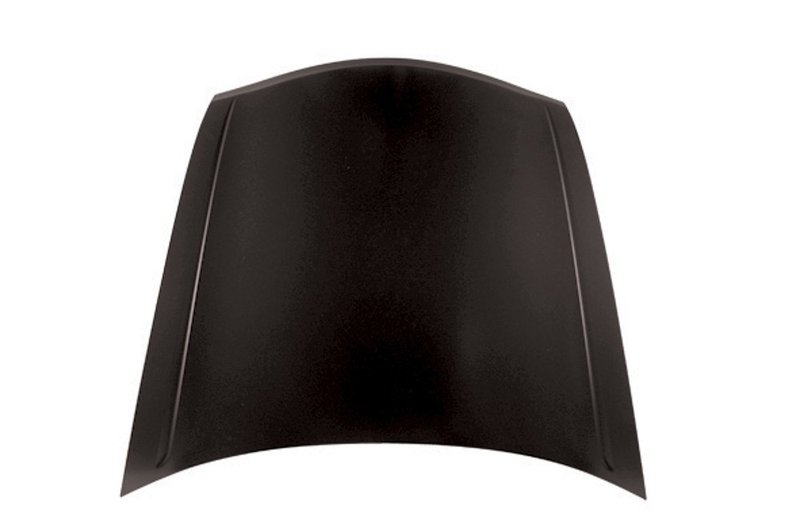 TechPro HO1230154C Hood Panel Assembly