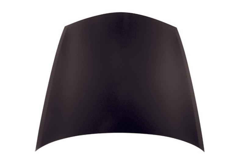 TechPro HO1230156C Hood Panel Assembly