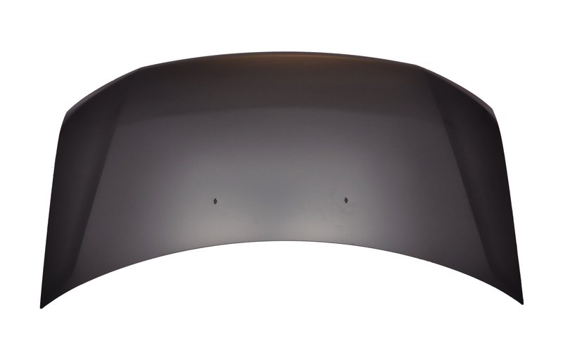 TechPro HO1230164C Hood Panel Assembly