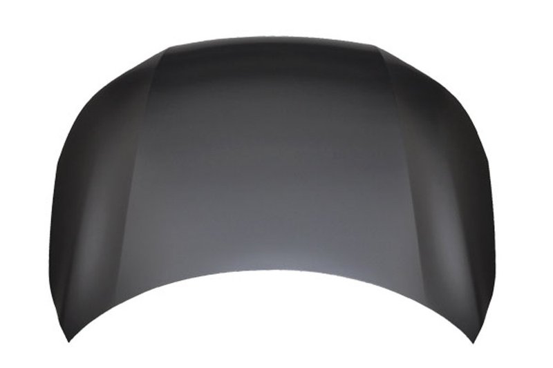TechPro HO1230169C Hood Panel Assembly