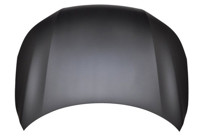 TechPro HO1230170C Hood Panel Assembly