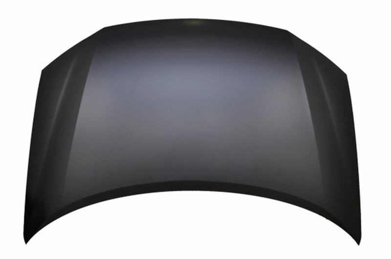 TechPro HO1230171C Hood Panel Assembly