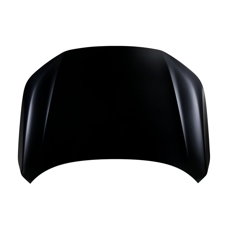TechPro HO1230195 Hood Panel Assembly