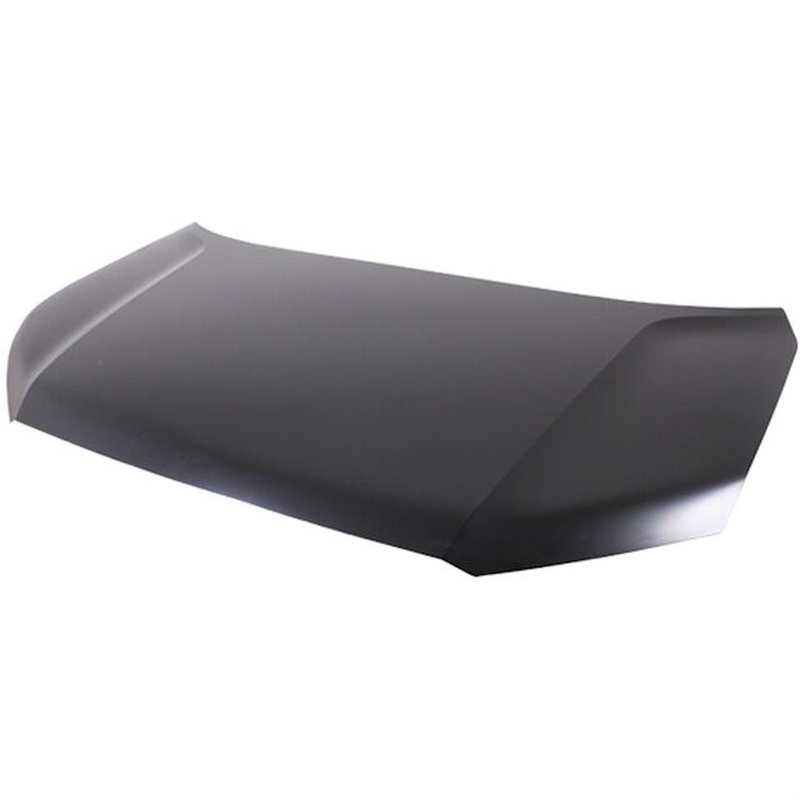 TechPro HO1230197C Hood Panel Assembly