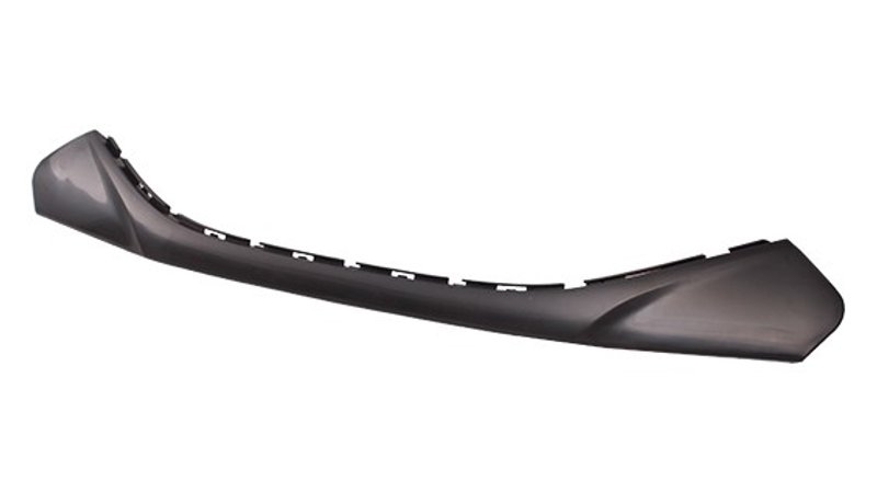 TechPro HY1210102C Grille Molding