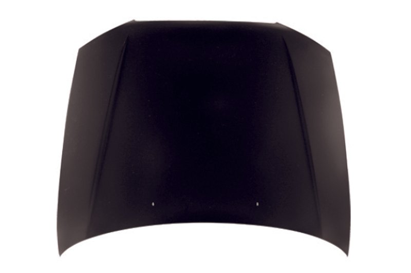 TechPro HY1230123 Hood Panel Assembly