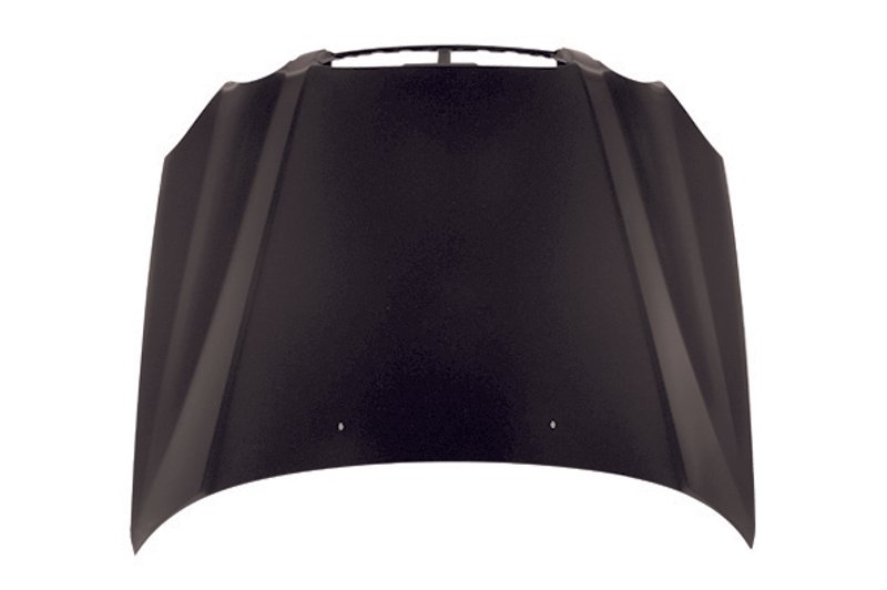 TechPro HY1230130 Hood Panel Assembly