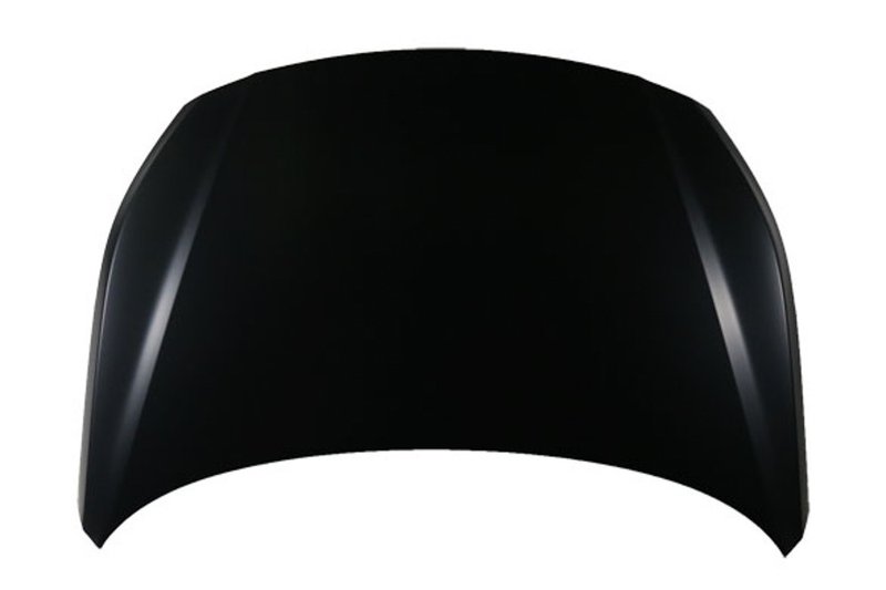 TechPro HY1230160C Hood Panel Assembly