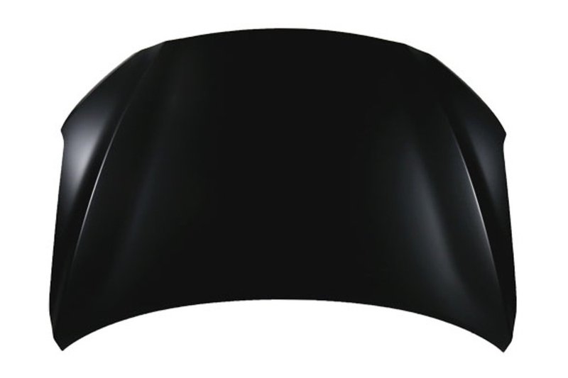 TechPro HY1230168C Hood Panel Assembly