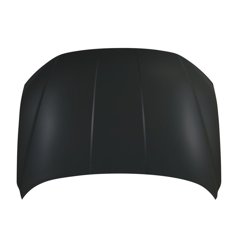TechPro HY1230185C Hood Panel Assembly
