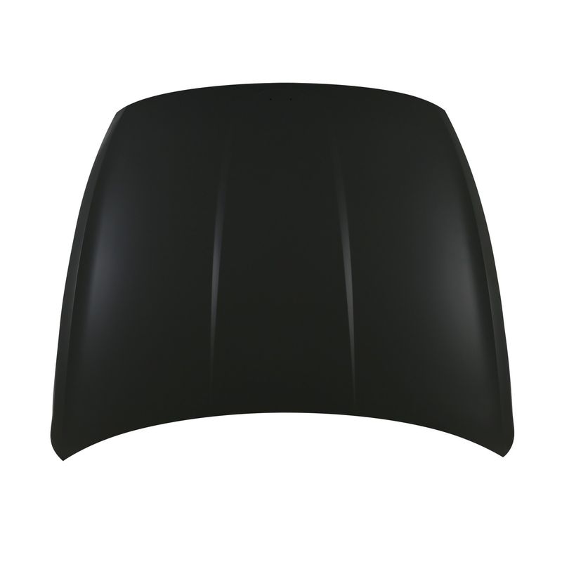 TechPro HY1230189 Hood Panel Assembly