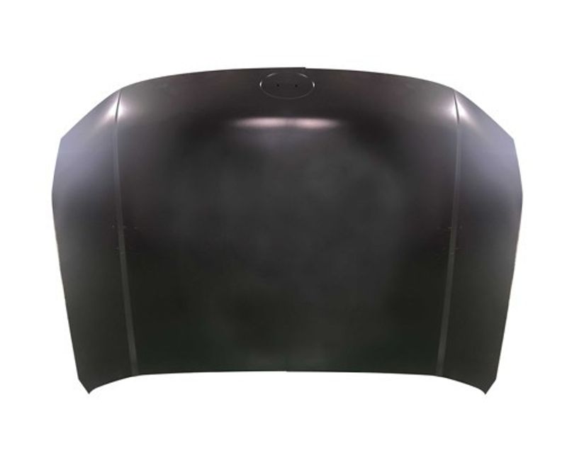 TechPro HY1230192C Hood Panel Assembly