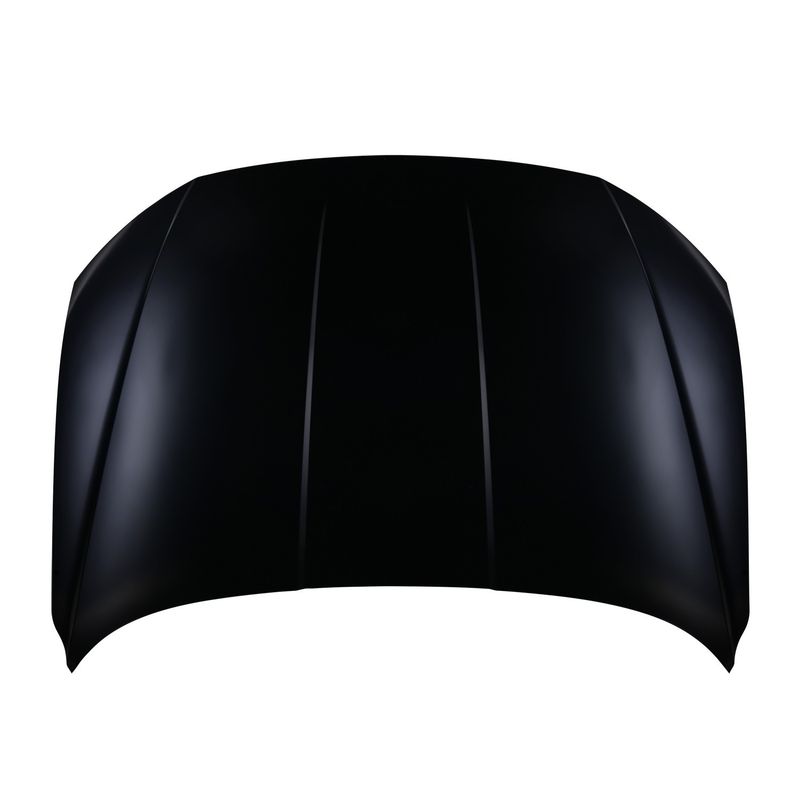 TechPro HY1230193C Hood Panel Assembly