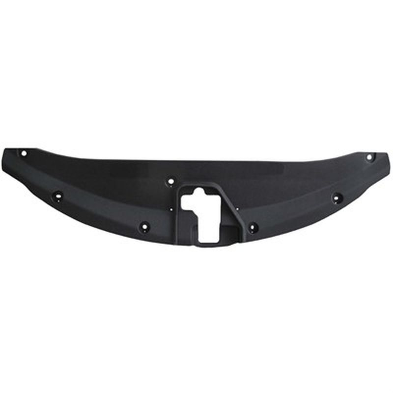 TechPro LX1224119 Panel Molding - Front