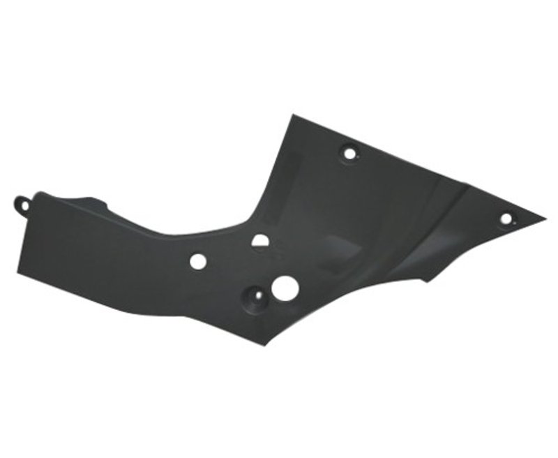 TechPro LX1224123 Panel Molding - Front