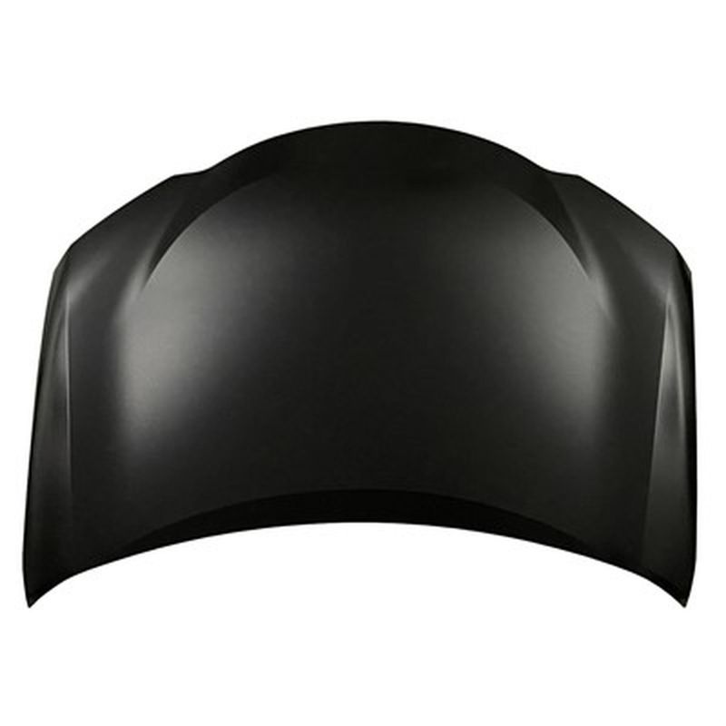 TechPro LX1230137C Hood Panel Assembly