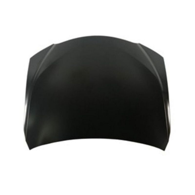 TechPro LX1230138C Hood Panel Assembly