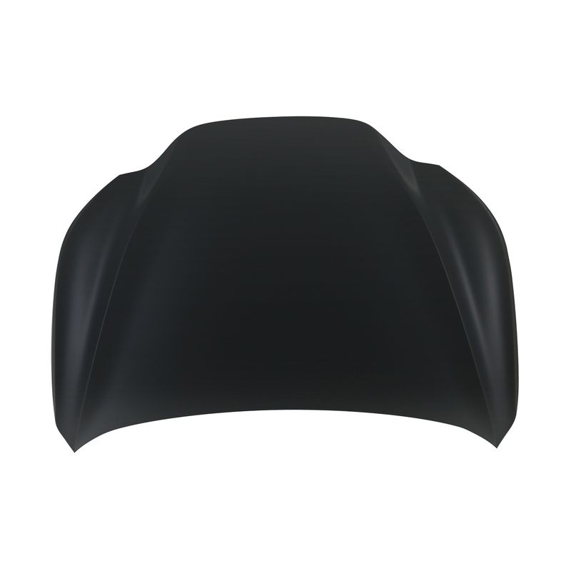 TechPro LX1230139C Hood Panel Assembly