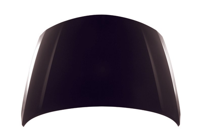 TechPro MA1230164C Hood Panel Assembly