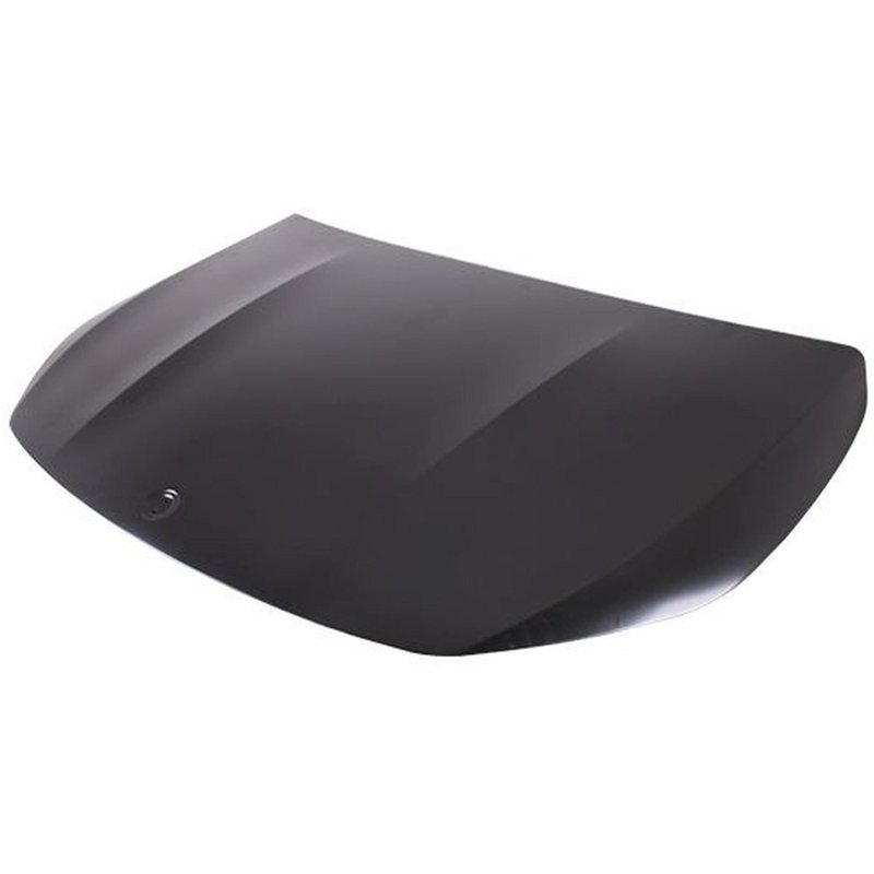 TechPro MB1230171C Hood Panel Assembly