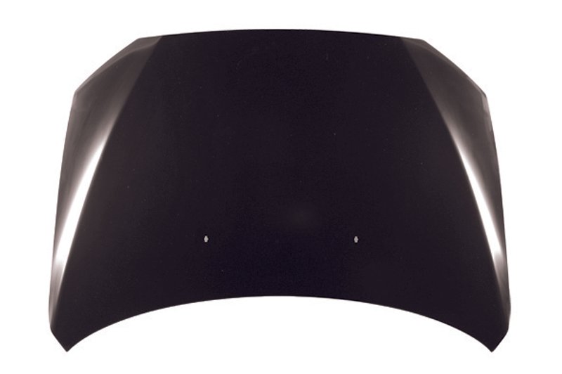 TechPro MI1230213C Hood Panel Assembly