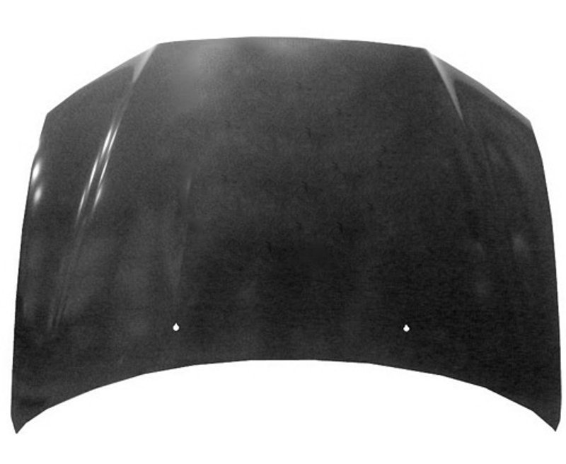 TechPro MI1230220C Hood Panel Assembly