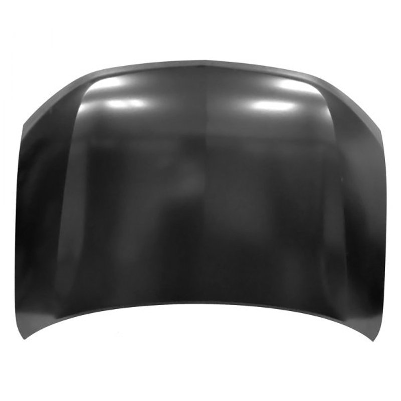 TechPro MI1230221C Hood Panel Assembly