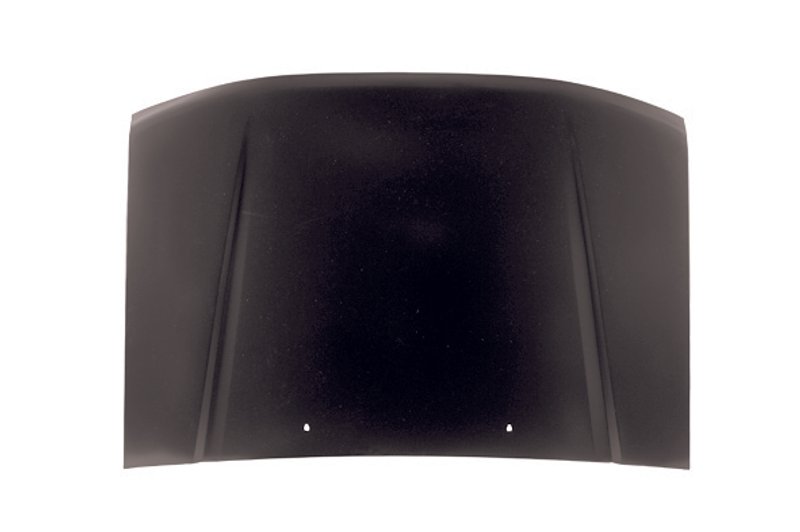TechPro NI1230150 Hood Panel Assembly