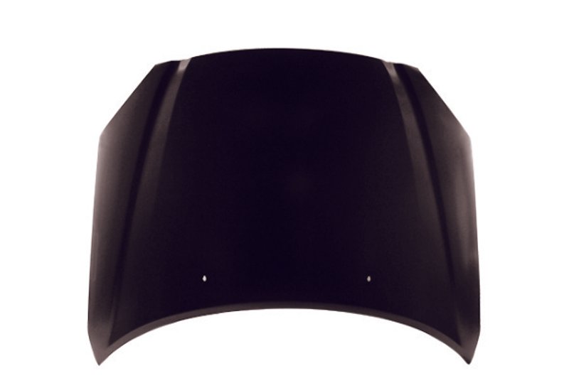 TechPro NI1230157 Hood Panel Assembly