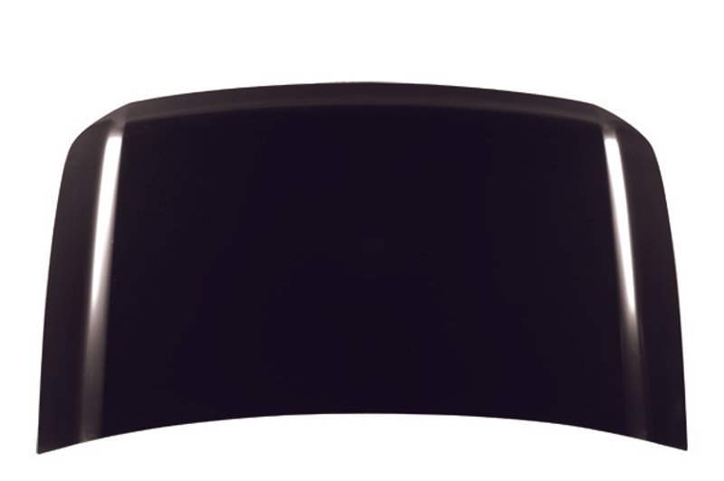 TechPro NI1230167C Hood Panel Assembly