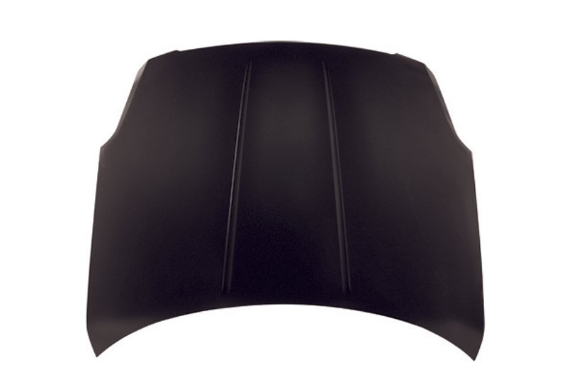 TechPro NI1230168 Hood Panel Assembly