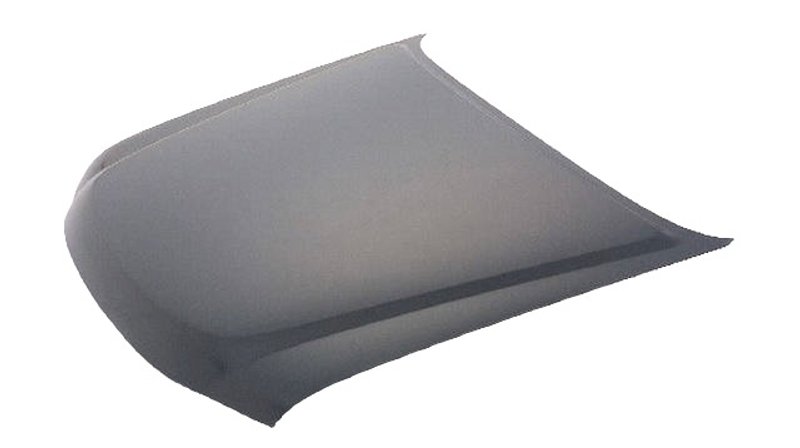 TechPro NI1230169C Hood Panel Assembly
