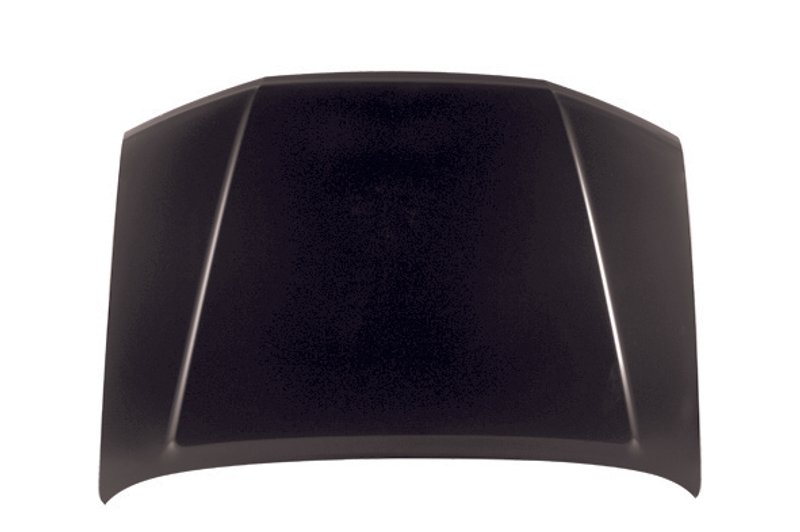 TechPro NI1230170C Hood Panel Assembly