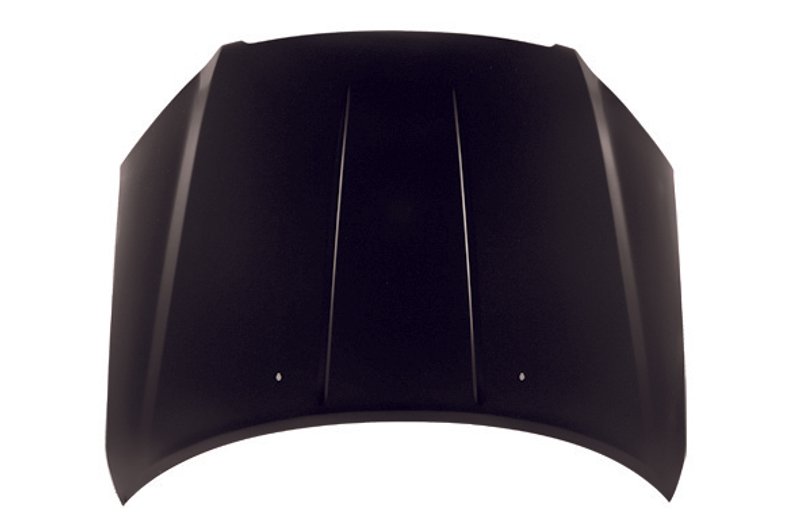 TechPro NI1230171C Hood Panel Assembly