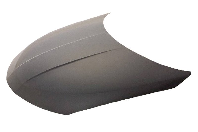 TechPro NI1230175C Hood Panel Assembly
