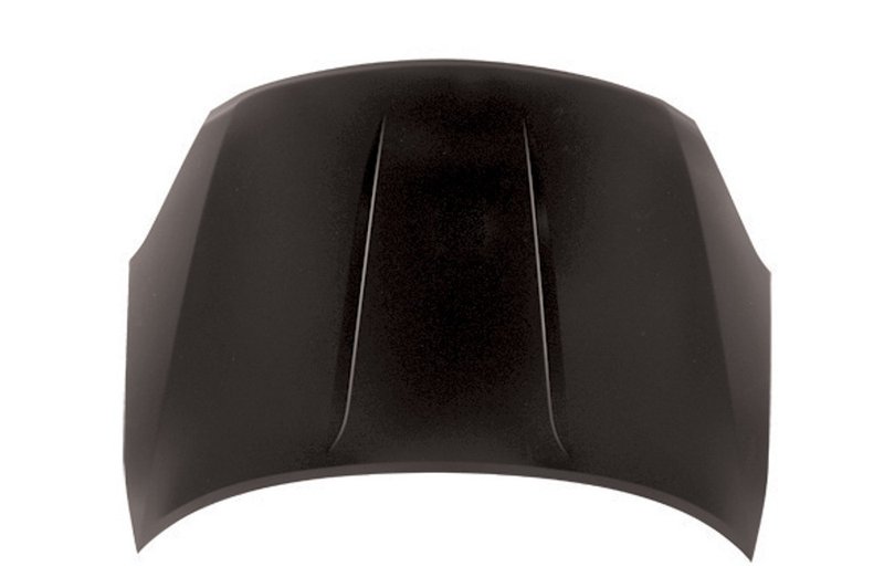 TechPro NI1230176C Hood Panel Assembly