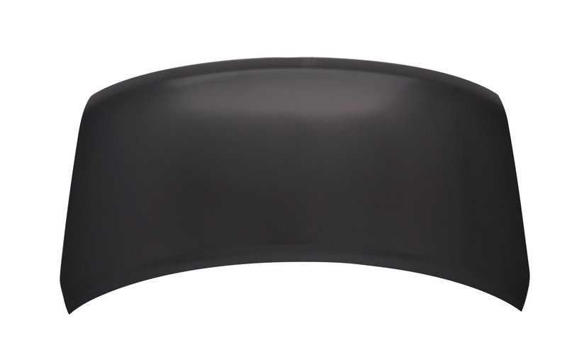 TechPro NI1230182 Hood Panel Assembly