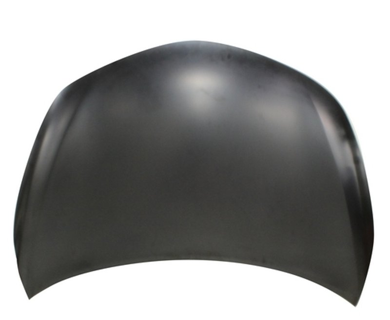 TechPro NI1230189C Hood Panel Assembly