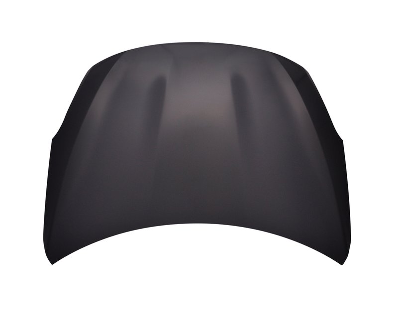 TechPro NI1230191 Hood Panel Assembly